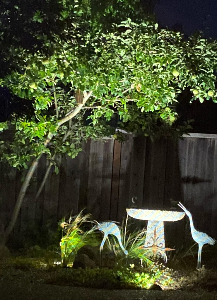 outdoor lighting design